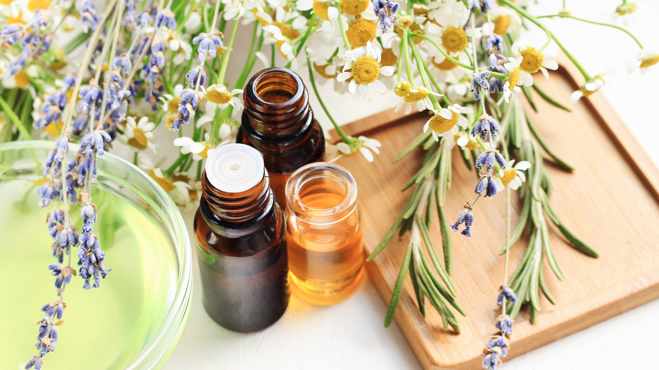 5 Tips for Embracing a Holistic Lifestyle